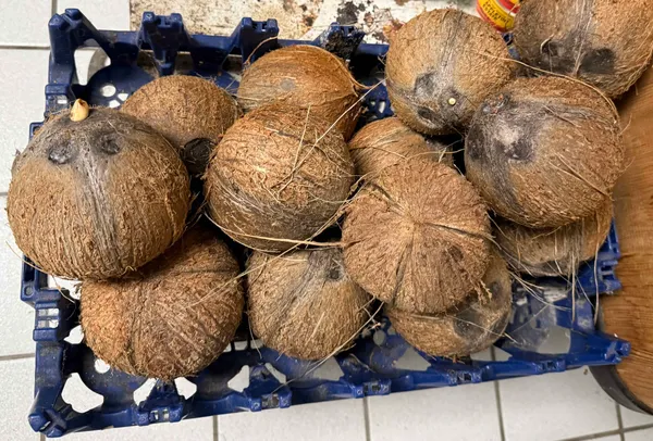 Bunch of coconuts